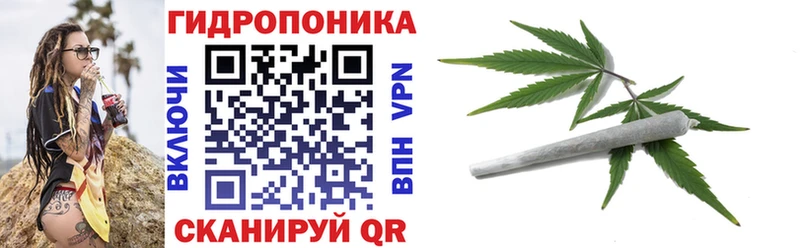 А ПВП Кохма